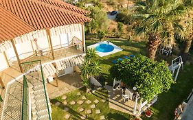 Skioni Studios